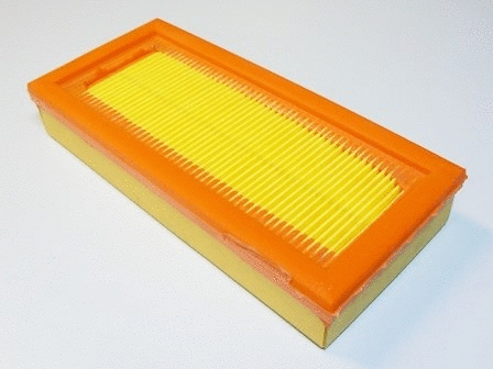 Air Filter (VFA291)