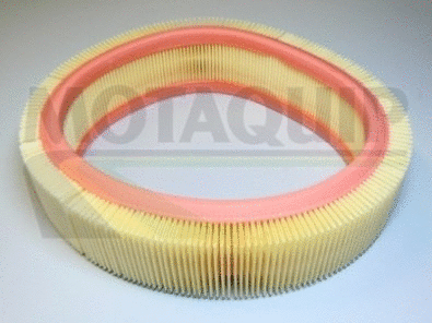 Air Filter (VFA251)