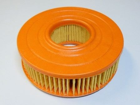 Air Filter (VFA168)