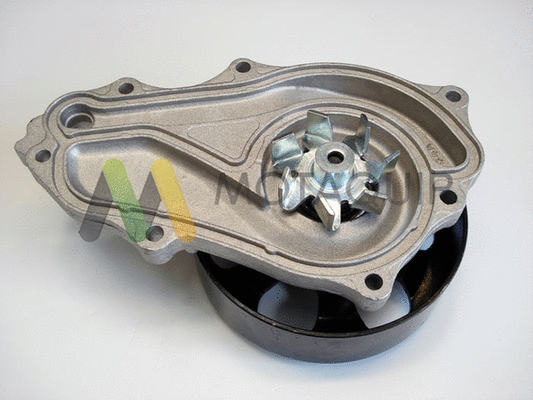 Water Pump, engine cooling (LVWP972)