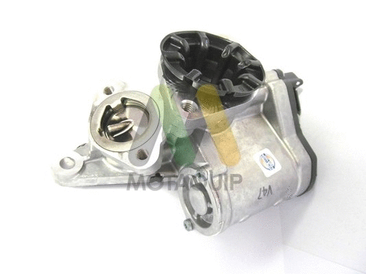 EGR Valve (LVER169)