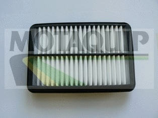Air Filter (VFA1171)