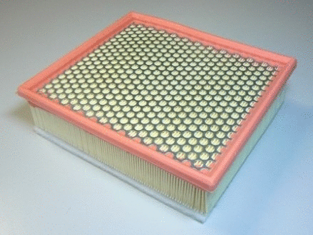 Air Filter (VFA1112)