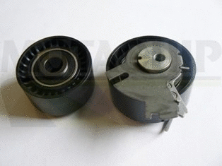 Timing Belt Kit (LVTT306)