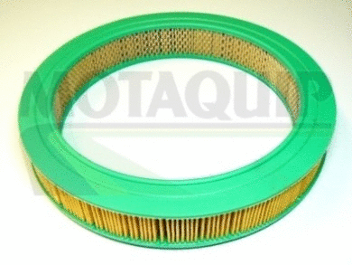 Air Filter (VFA246)