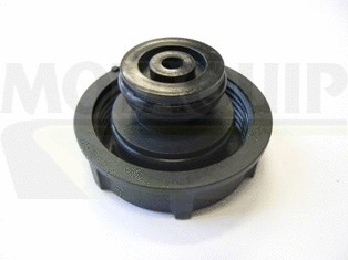 Cap, coolant tank (VCR243)
