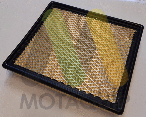 Air Filter (LVFA1676)