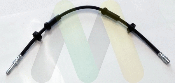 Brake Hose (LVBH1712)