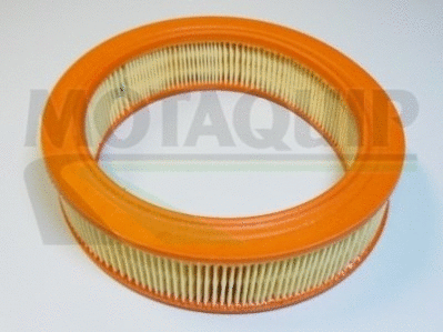 Air Filter (VFA105)
