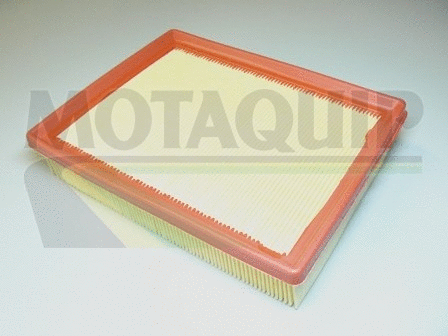 Air Filter (VFA29)