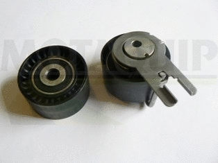 Timing Belt Kit (LVTT305)