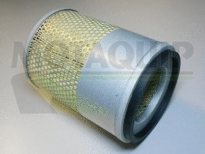 Air Filter (VFA567)