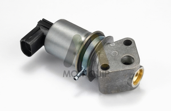EGR Valve (LVER348)