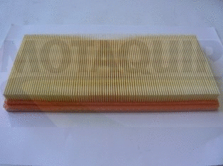Air Filter (VFA1229)