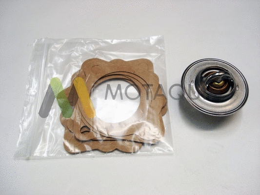 Thermostat, coolant