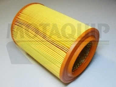 Air Filter (VFA735)