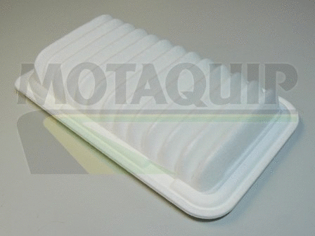Air Filter (VFA1022)