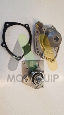 Water Pump & Timing Belt Kit (LVTTP117)