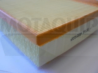 Air Filter (VFA1238)