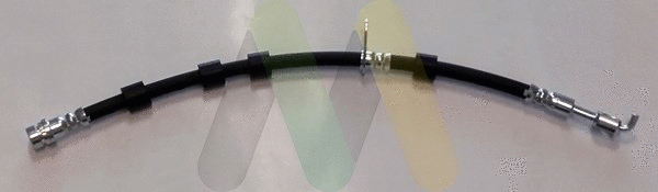 Brake Hose (LVBH1649)