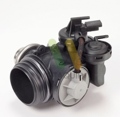 EGR Valve (LVER123)