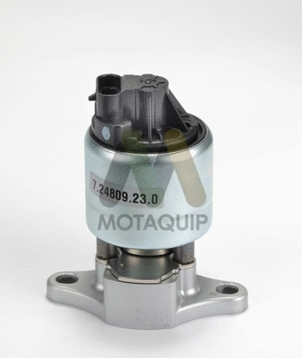EGR Valve (LVER320)