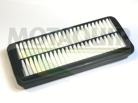 Air Filter (VFA1153)