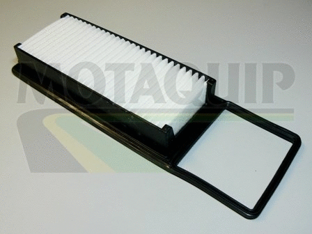 Air Filter (VFA1093)