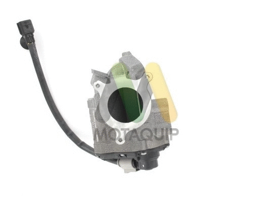 EGR Valve (LVER307)