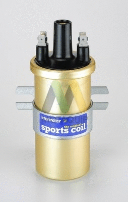 Ignition Coil (LVCL213)