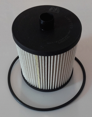 Fuel Filter (LVFF719)