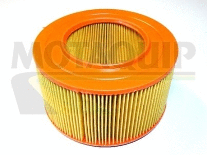 Air Filter (VFA736)