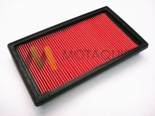 Air Filter (VFA1212)