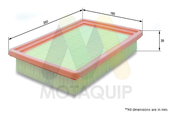 Air Filter (VFA921)