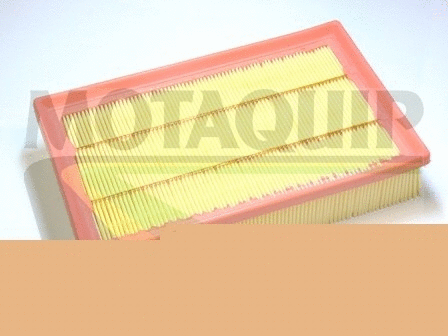 Air Filter (VFA1152)