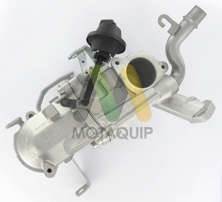 Cooler, exhaust gas recirculation (LVER205)