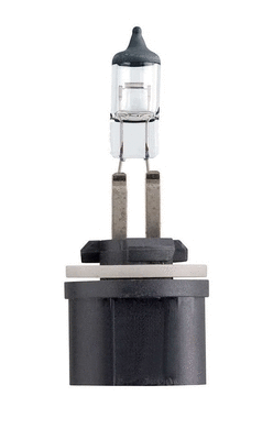 Bulb, front fog light (VBU880)