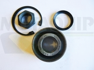 Wheel Bearing Kit (VBK54)