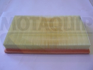 Air Filter (VFA1240)