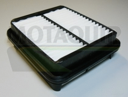 Air Filter (VFA1011)