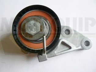 Timing Belt Kit (VTT165)