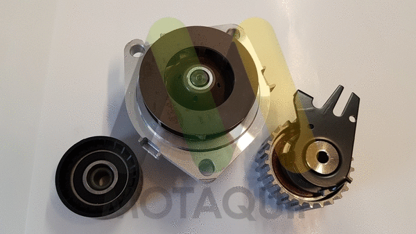 Water Pump & Timing Belt Kit