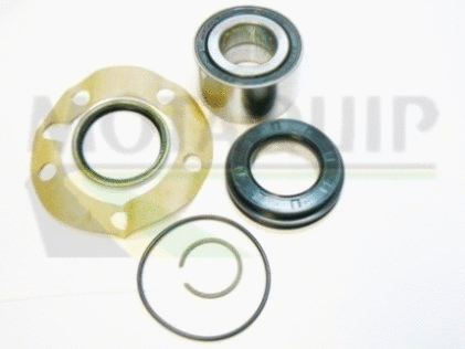 Wheel Bearing Kit (VBK1195)