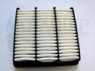 Air Filter (VFA1218)