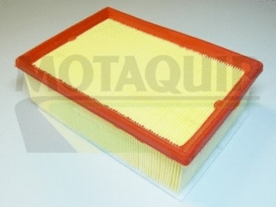 Air Filter (VFA1070)