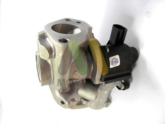 EGR Valve (LVER149)