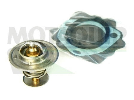 Thermostat, coolant (VTK3)
