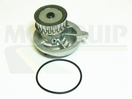 Water Pump, engine cooling (VWP249)