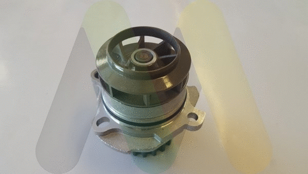 Water Pump, engine cooling (LVWP1009)