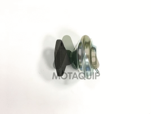 EGR Valve (LVER127)